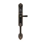 قفل هوشمند تنسر مدل صفه