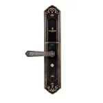 قفل هوشمند تنسر مدل صفه